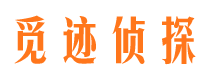 青龙市调查公司